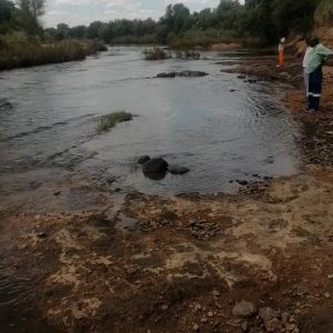 Screenshot_20240129_041315_com.huawei.himovie.overseas